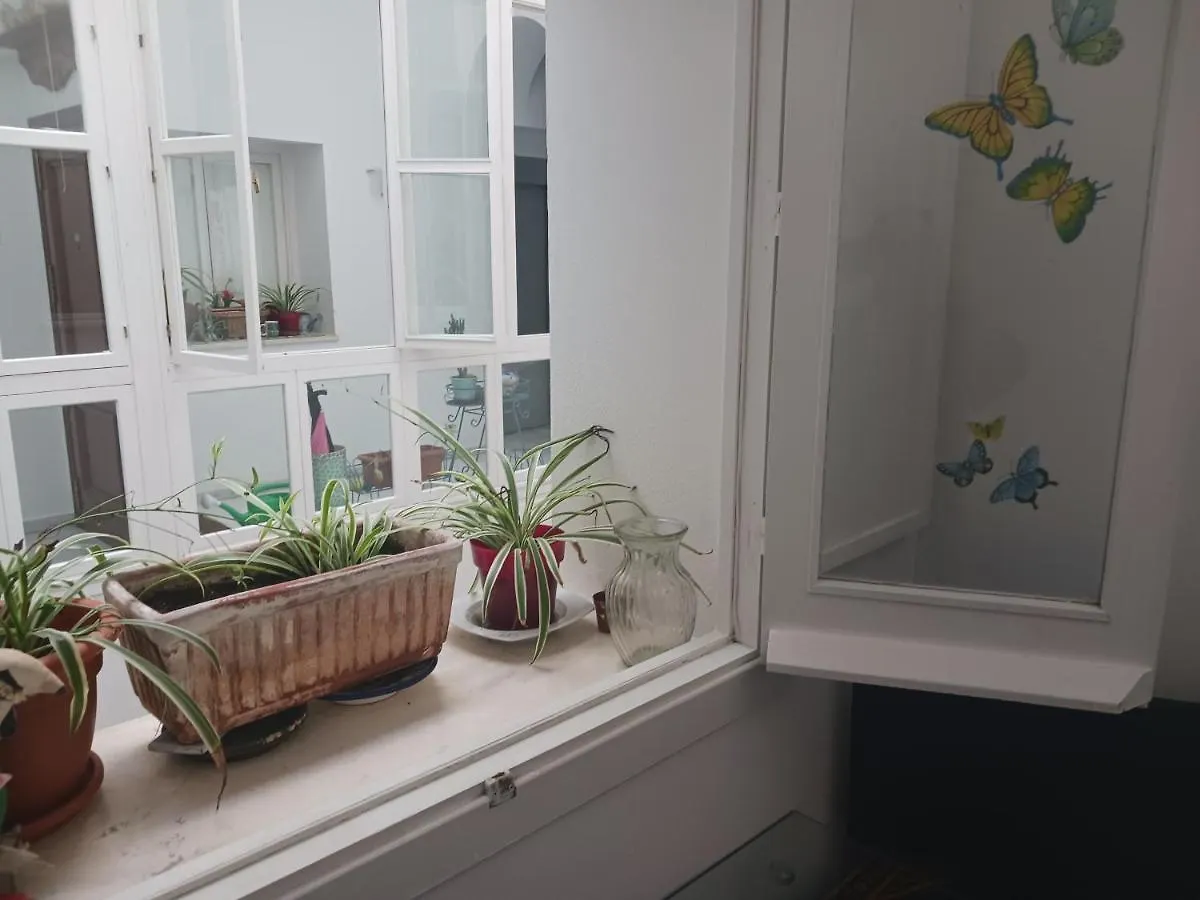 Habitacion Privada Con Bano. Cadice 0*,  Spagna